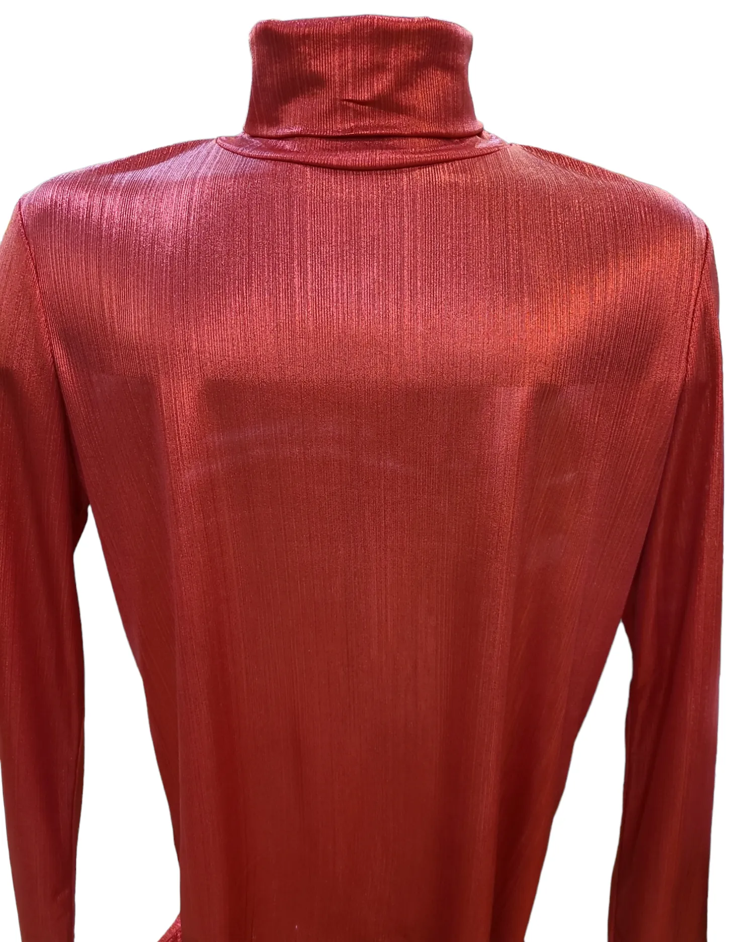 Barabas Metallic Turtleneck
