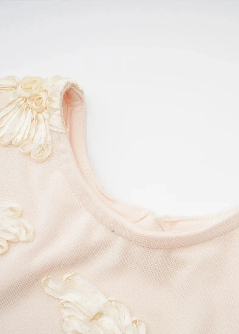 Jewell Floral Embroidery Mini Dress